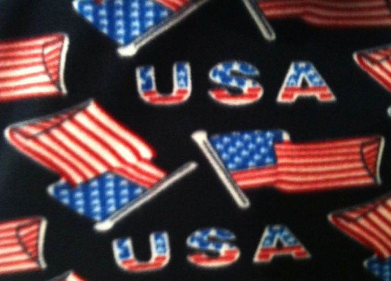 Fleece fabric BTY USA American Flag, red white blue  